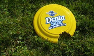Dentastix Frisbee