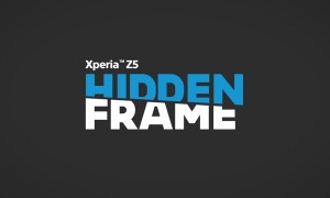 The Hidden Frame