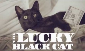 The Lucky Black Cat