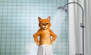 Puss in Old Spice