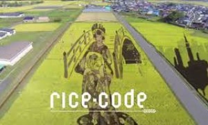 Rice Code