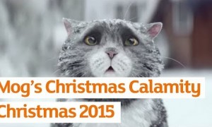 Mog’s Christmas Calamity