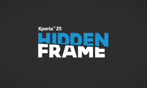 The Hidden Frame