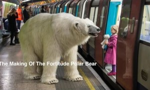 Polar Bear Roams London