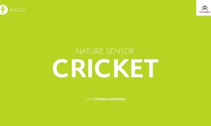 Nature Sensor - Cricket, Frog, Owl