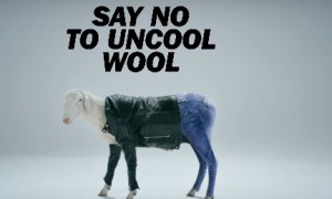 Say No To Uncool Wool